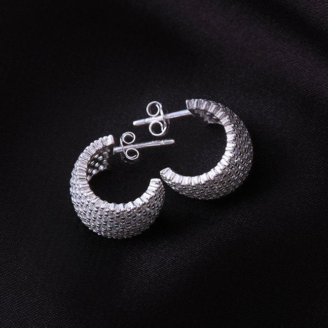 Zirkon Gümüş Küpe — görsel 2
